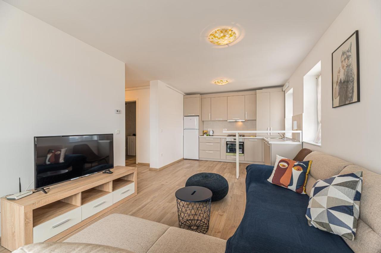 Coresi Modern Apartment Брашов Экстерьер фото
